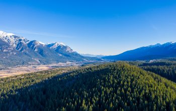 How to Budget for Long-Term Finiancial Success